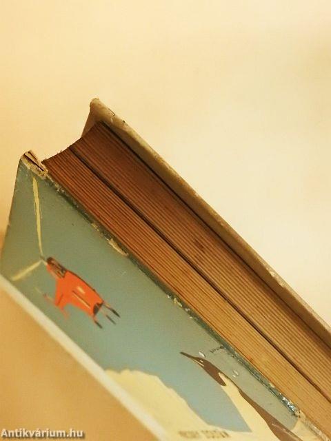 A titokzatos Déli-sark