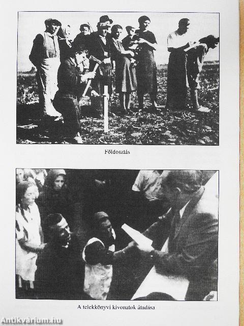 Tanulmányok Nagy Imréről