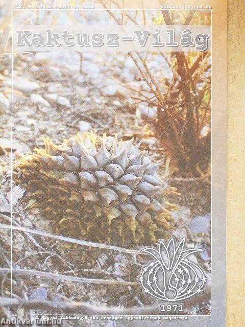 Kaktusz-világ 2017/4.
