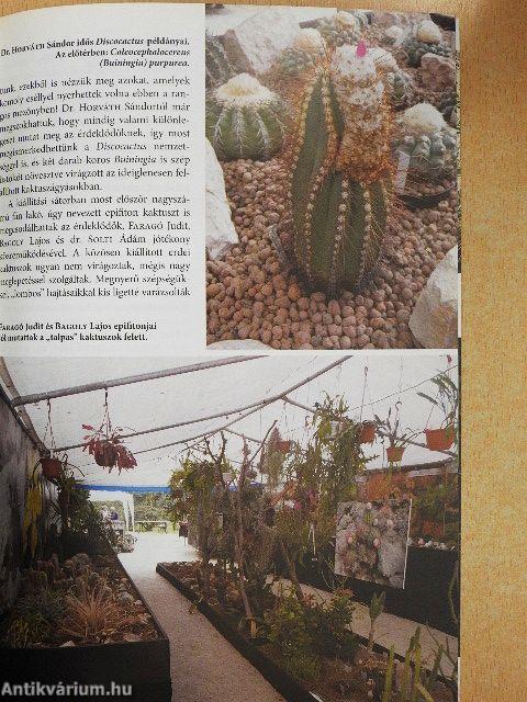 Kaktusz-világ 2017/4.
