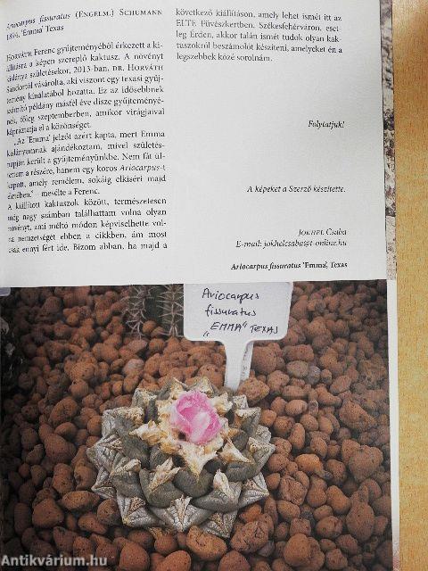 Kaktusz-világ 2014/5.