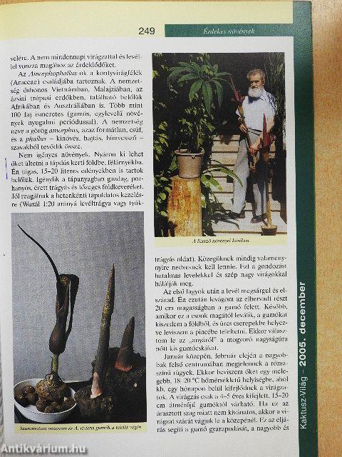 Kaktusz-világ 2005. december