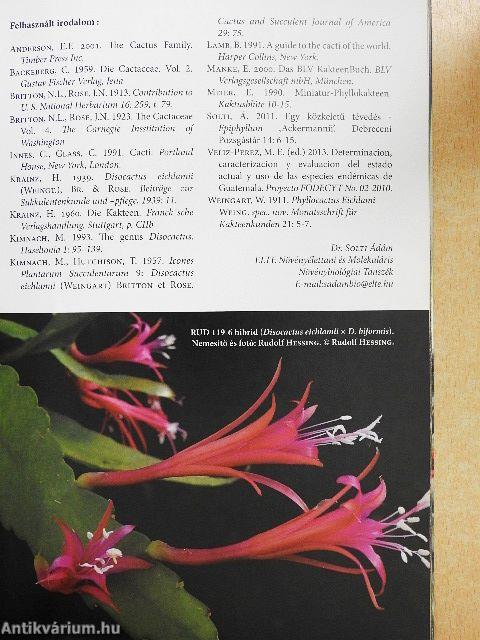 Kaktusz-világ 2013/3.
