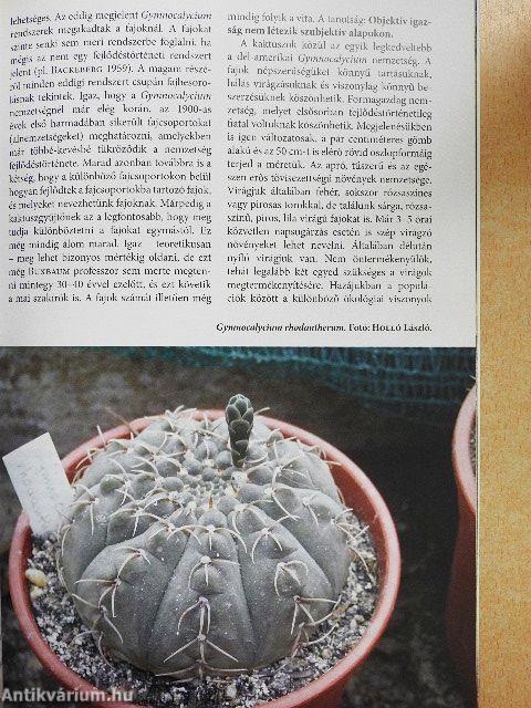 Kaktusz-világ 2013/4.