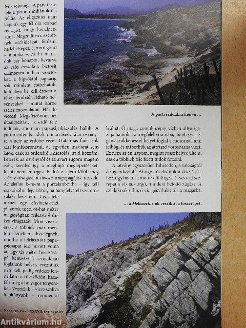 Kaktusz-világ 2013/4.