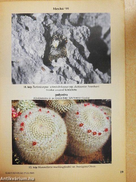 Kaktusz-világ 2003. február