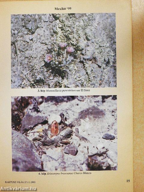 Kaktusz-világ 2003. február