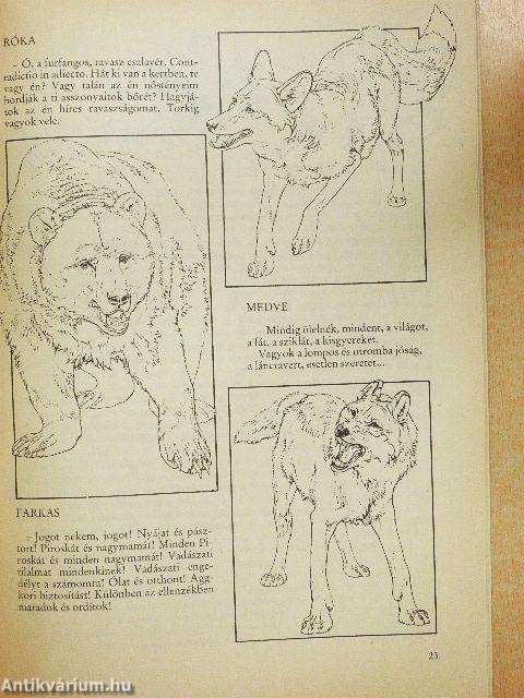 Kincskereső 1991. január