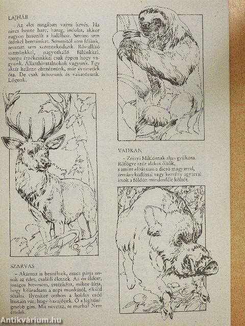 Kincskereső 1991. február