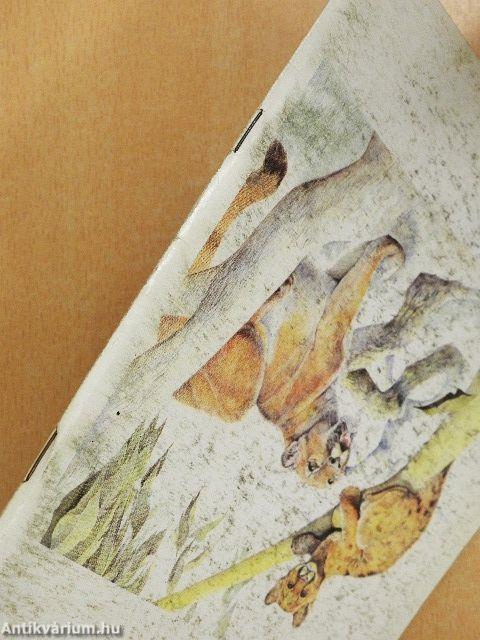 Kincskereső 1991. március