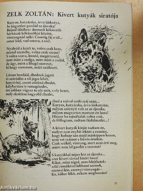 Kincskereső 1990. november