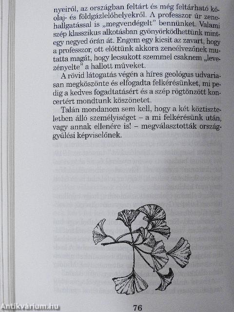 Közéleti igazmesék