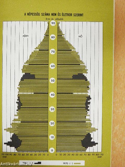 Magyar statisztikai zsebkönyv 1971.