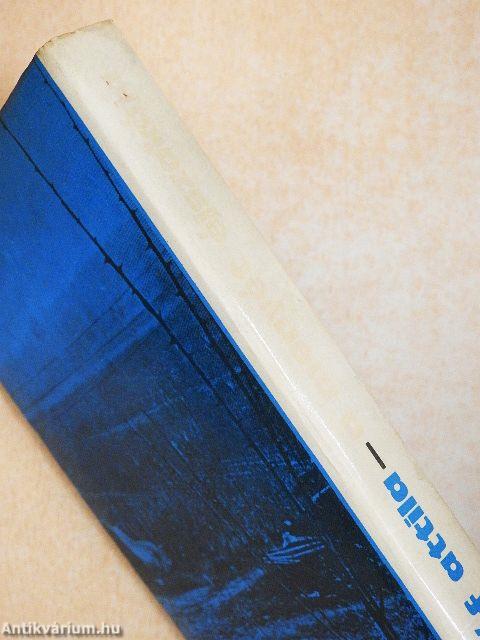 A menyét éjszakája