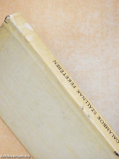 Galambok szállnak feketében