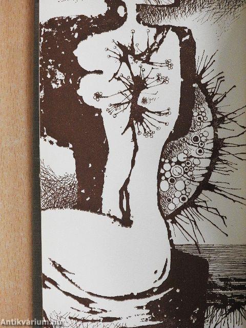 Galambok szállnak feketében