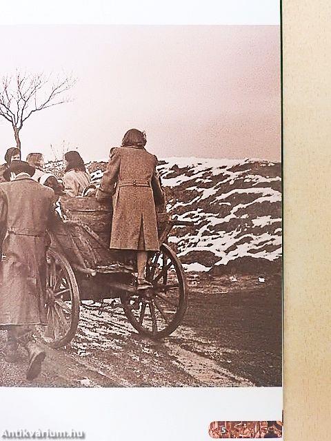 A mi forradalmunk - 1956