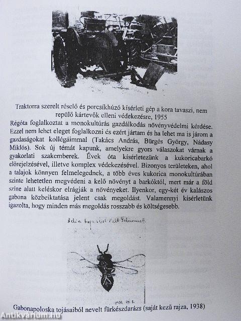 Dr. Manninger Gusztáv Adolf egyetemi tanár élete és munkássága
