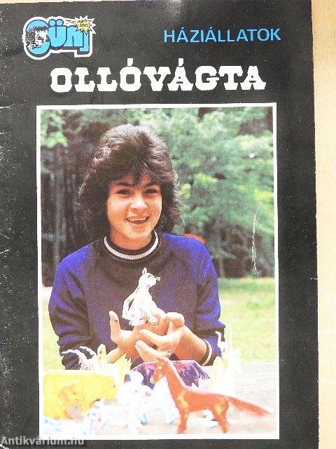 Ollóvágta - Háziállatok