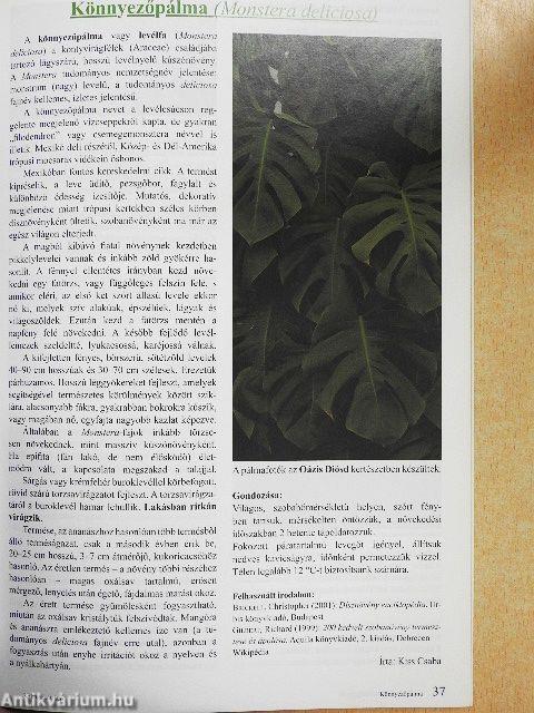 Kaktuszkör-kép 2014/3.