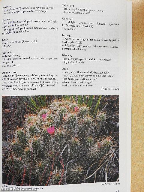 Kaktuszkör-kép 2015/1.