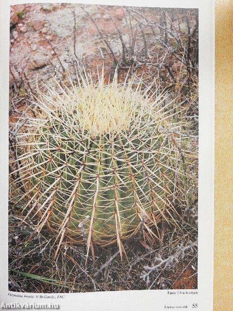 Kaktuszkör-kép 2015/1.