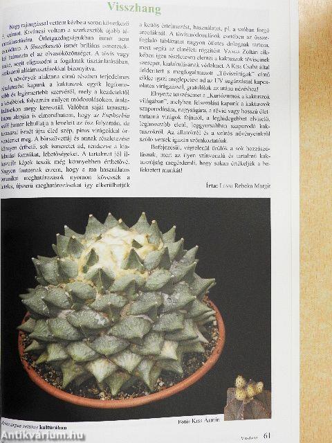 Kaktuszkör-kép 2017/1.