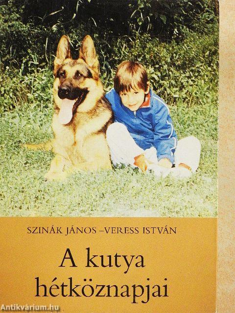 A kutya hétköznapjai