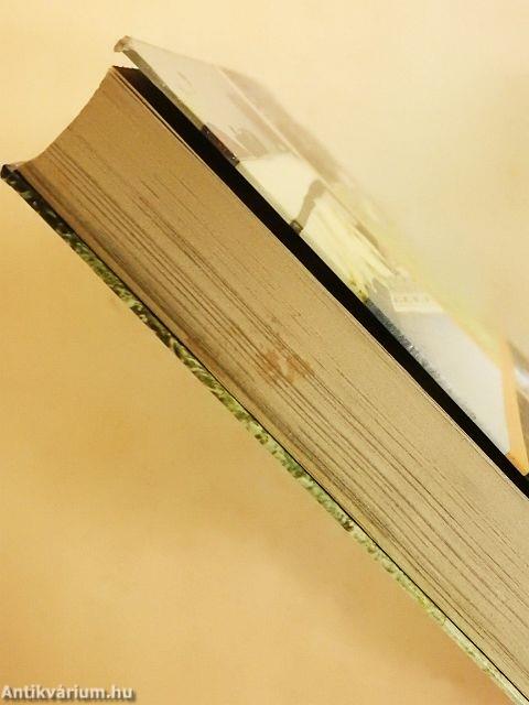 A kutya hétköznapjai