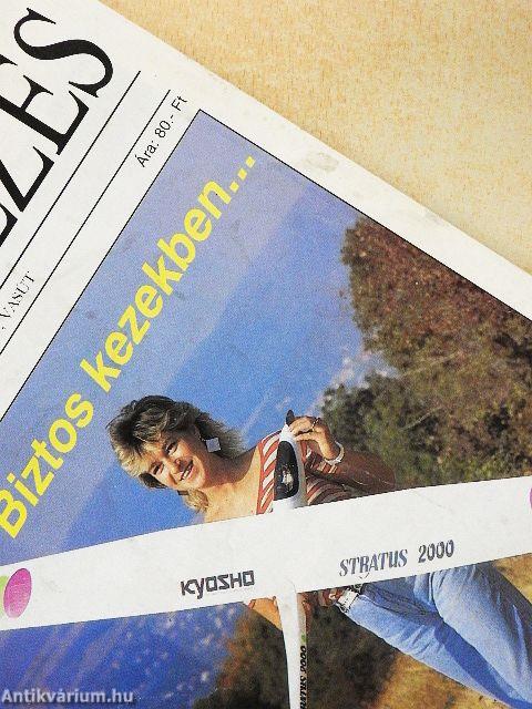 Modellezés 1992/10.