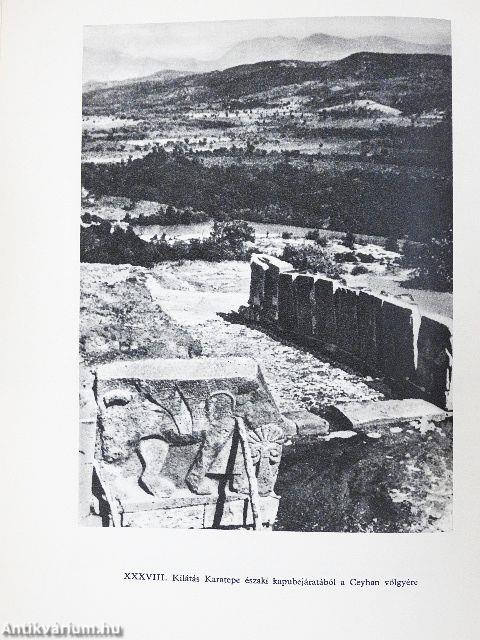 A hettiták regénye