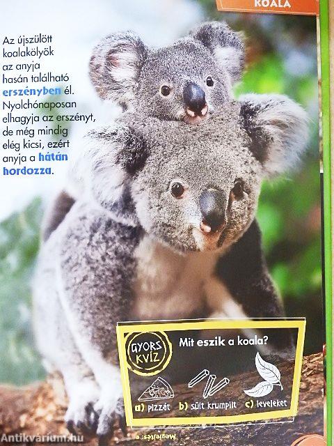 Disney Állati Szafari 27.