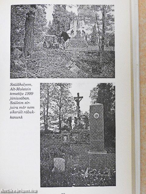 Én, Emilie Schindler