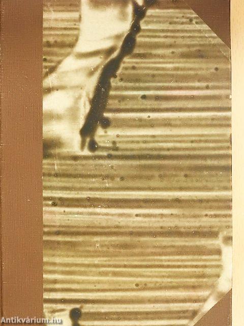 Újfrancia leíró nyelvtan