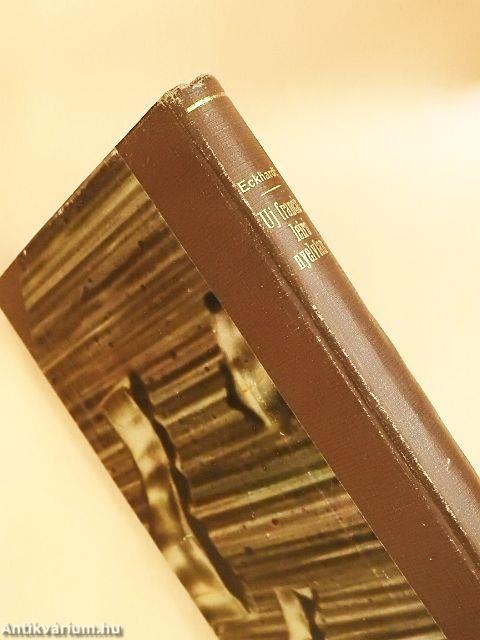 Újfrancia leíró nyelvtan