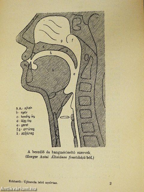 Újfrancia leíró nyelvtan