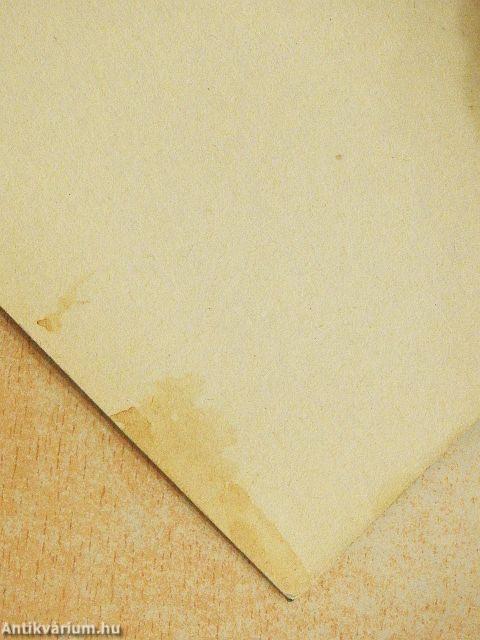 Vanek úr Párizsban