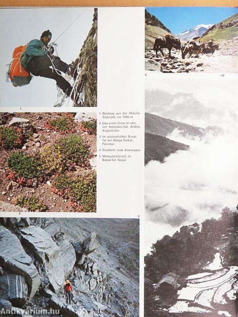 Arena der Einsamkeit