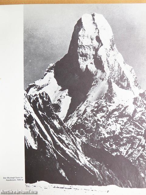 Arena der Einsamkeit