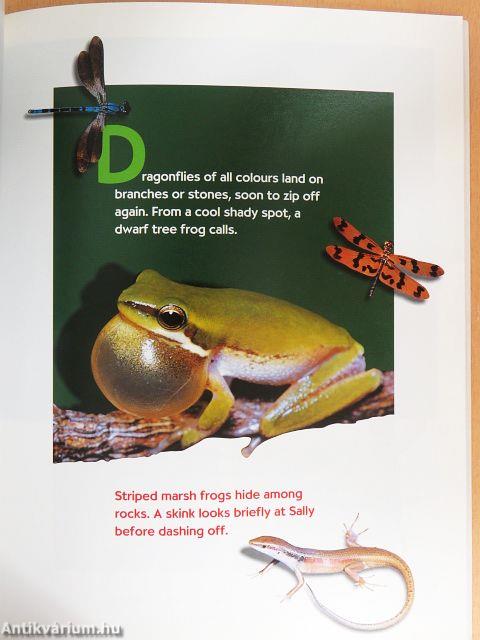 Sally and the Rock wallabies