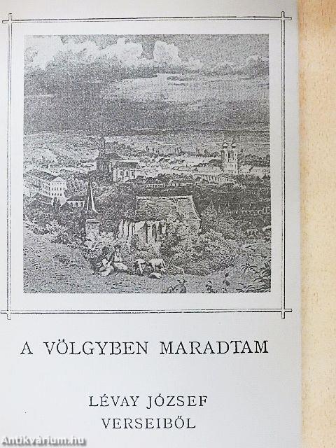 A völgyben maradtam