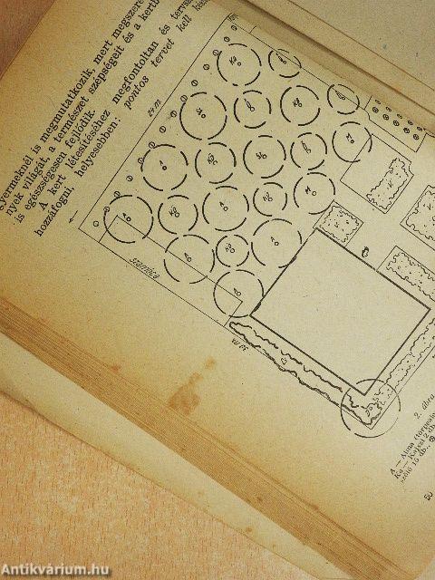 A házikert gyümölcsöse