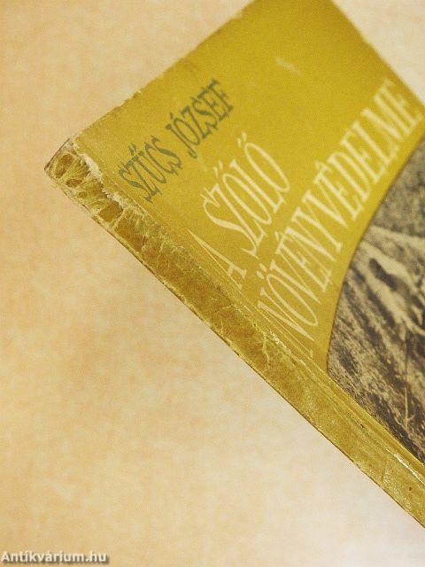 A szőlő növényvédelme