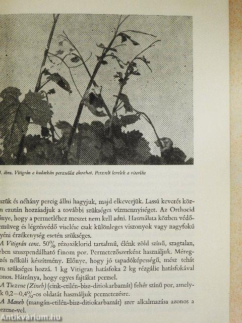 A szőlő növényvédelme