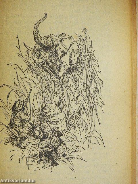 Vadászkalandok Afrikában