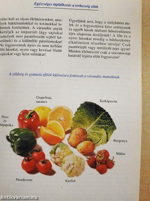 Várandós Mamák Könyve