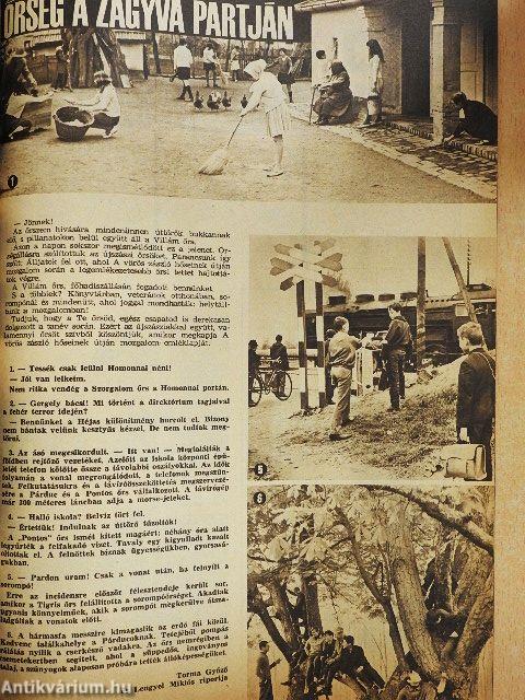 Pajtás 1967. május 18.