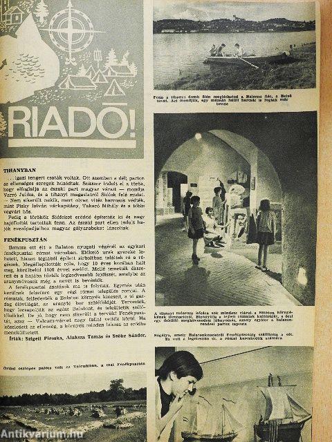 Pajtás 1967. június 15.