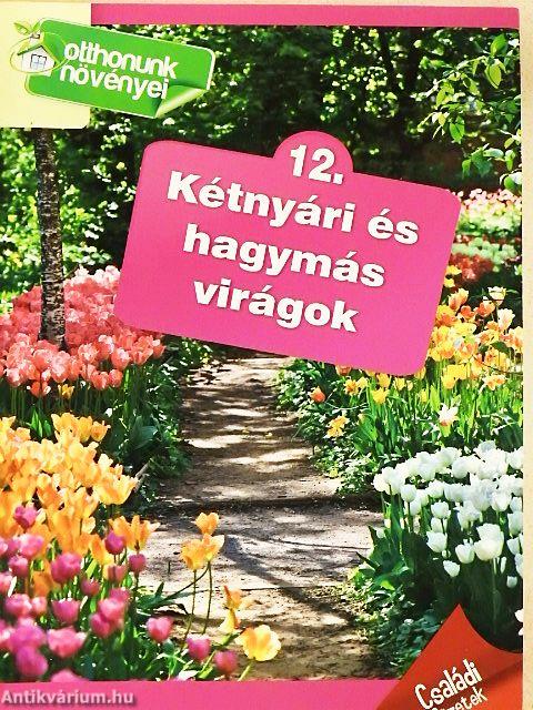 Kétnyári és hagymás virágok