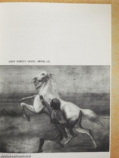 Ló és lovas a magyar képzőművészetben és magyar lószerszámok